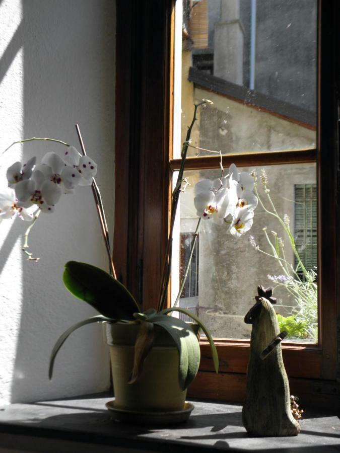 Al Vicolo Del Gallo Varallo Luaran gambar